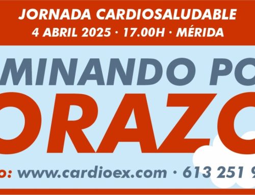 Marcha por el Corazón